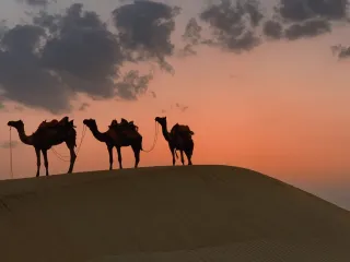 Day 5: Bikaner to Jaisalmer
