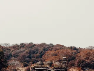 Day 4: Ranthambore Wildlife Safari