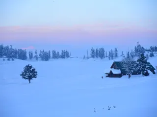 Day 4: Srinagar to Gulmarg