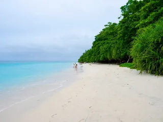 Day 3: Rangat Mangroves and Beaches