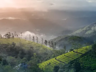 Day 10: Kovalam Departure