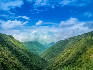 Day 8: Pelling to Bagdogra or NJP