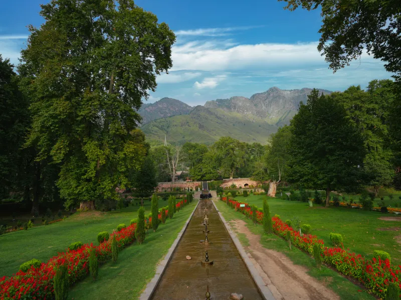 Kashmir