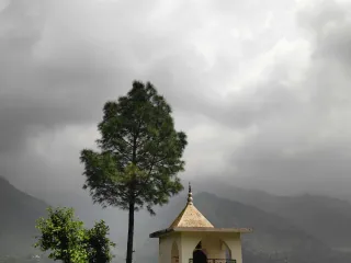 Day 5: Binsar to Delhi