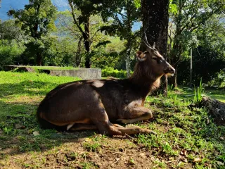 Day 2: Munnar for Two