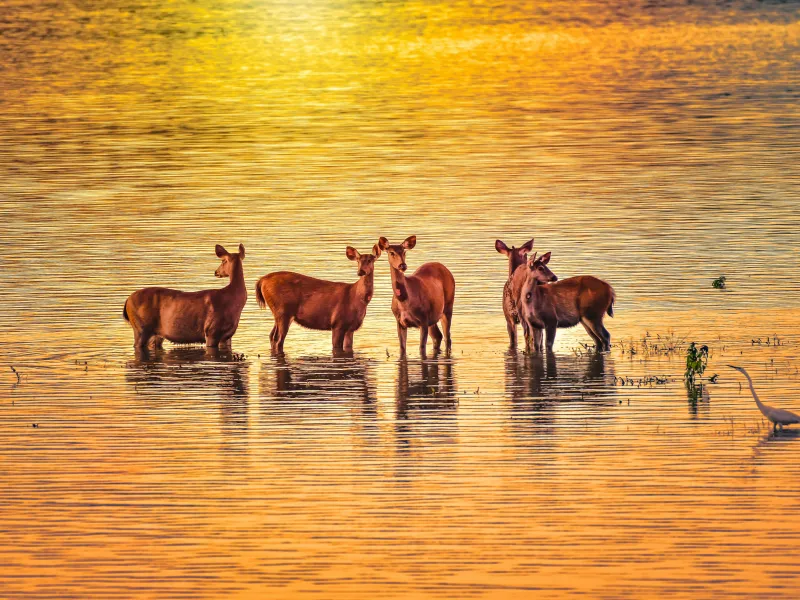 North East India