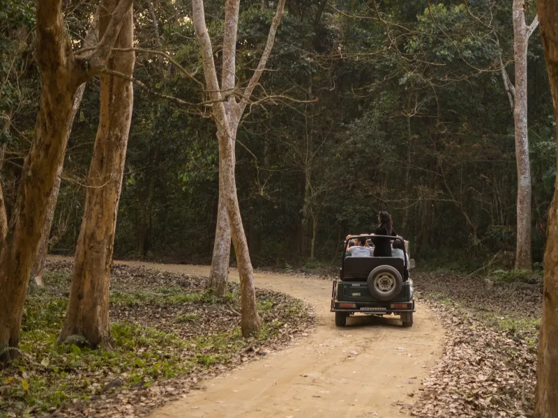Day 2: Kaziranga Safari and Bhalukpong