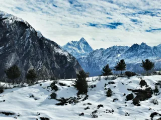 Day 2: Auli Mountain Day