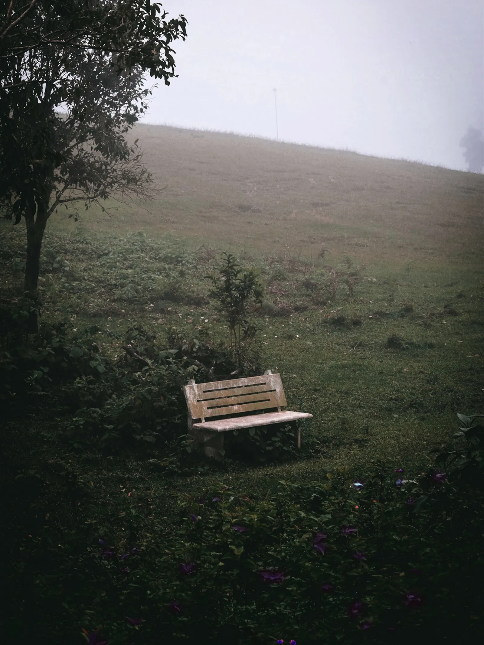 Vagamon
