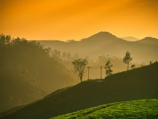 Day 1: Kochi to Romantic Munnar