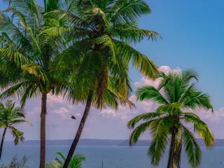 Day 2: North Goa Forts and Coast