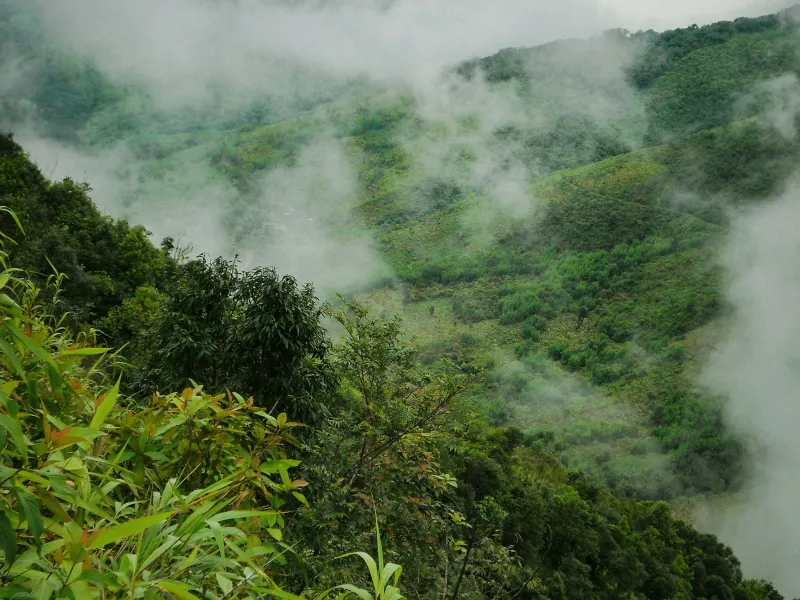 Day 1: Bagdogra or NJP to Gangtok