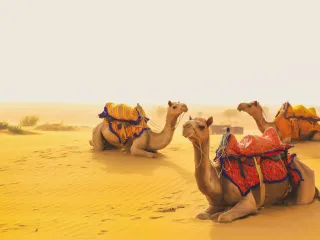 Day 6: Jodhpur to Jaisalmer