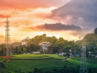 Day 1: Kochi to Romantic Munnar