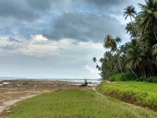 Day 4: Swaraj Dweep Beach Day