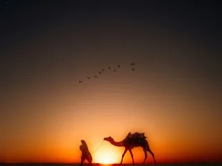 Day 7: Jaisalmer Desert Farewell