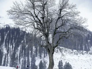Day 8: Pahalgam to Srinagar Airport