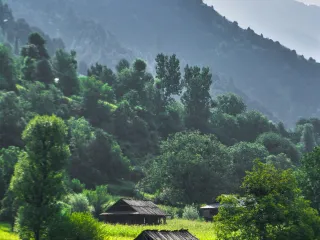 Day 5: Pahalgam to Srinagar