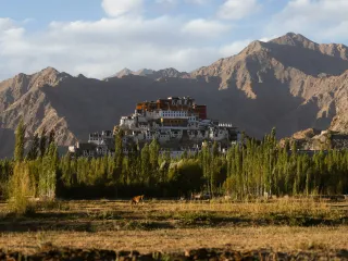 Day 1: Leh Arrival and Gentle Acclimatisation