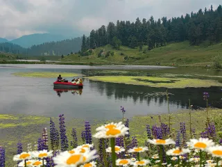 Day 4: Betaab and Aru Valleys