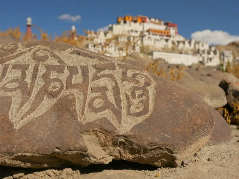 Day 1: Leh Arrival and Gentle Acclimatisation