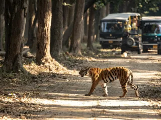 Day 3: Nainital to Corbett