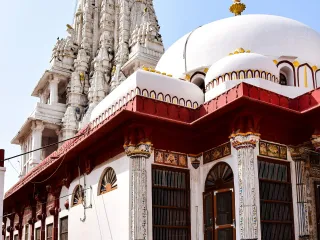 Day 5: Bikaner Farewell