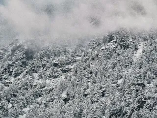 Day 2: Narkanda to Kalpa