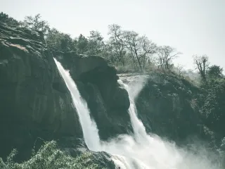 Day 2: Athirappilly in Monsoon