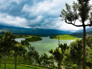 Day 2: Full-Day Munnar Sightseeing