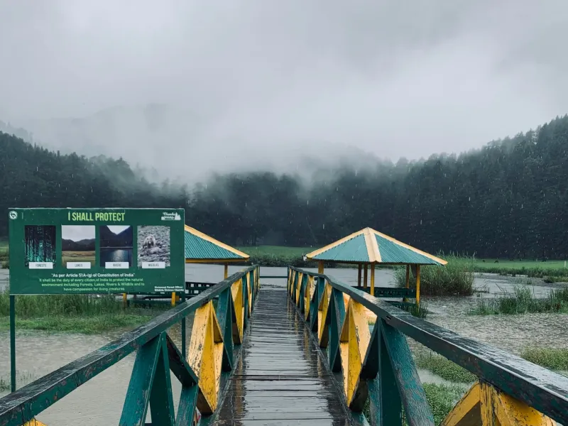 Ziro Valley Tribal & Nature Escape | 4 Nights 5 Days