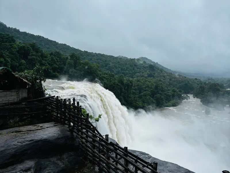 Day 2: Athirappilly in Monsoon