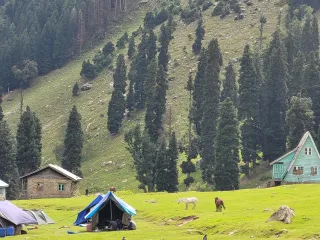 Day 6: Departure from Srinagar
