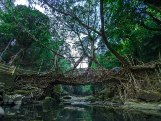 Day 3: Nongriat Double Decker Root Bridge Trek