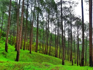 Day 2: Mukteshwar Exploration