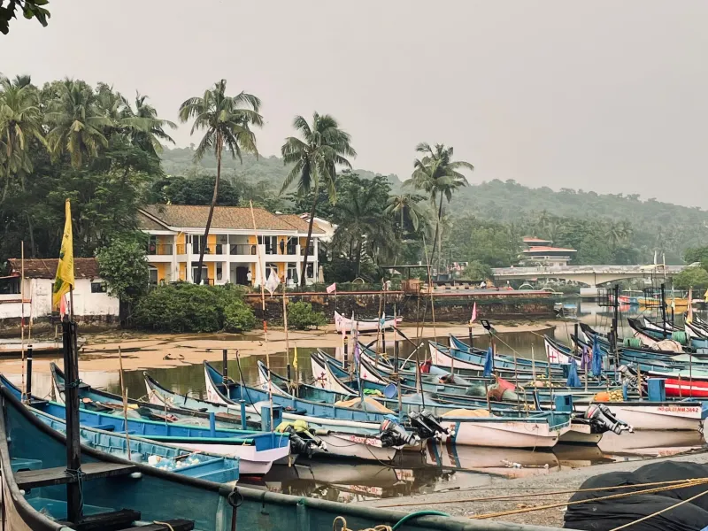 Day 1: North Goa Welcome