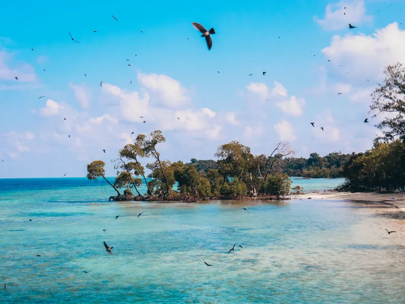 Diglipur and Ross-Smith Islands | 7 Nights 8 Days
