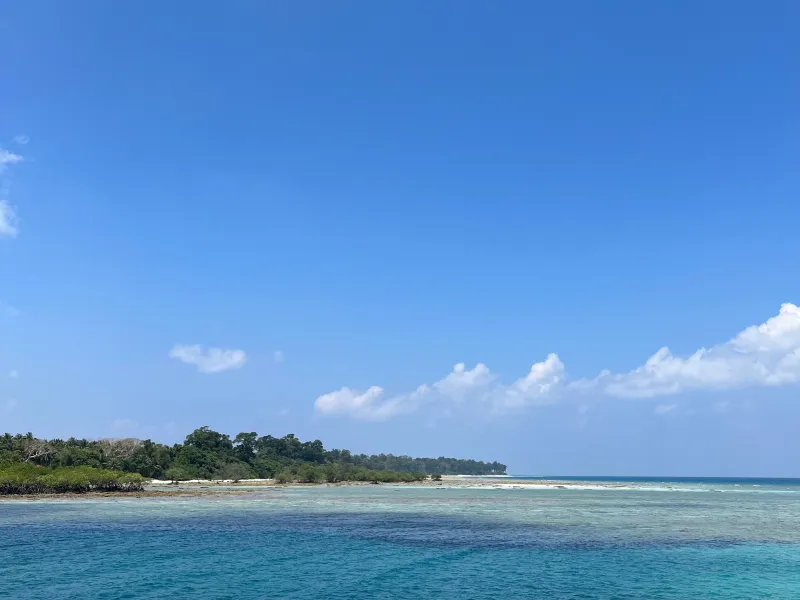 Day 2: Baratang Mangroves and Limestone Cave