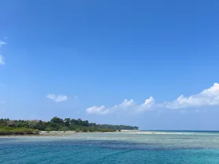 Day 2: Baratang Mangroves and Limestone Cave