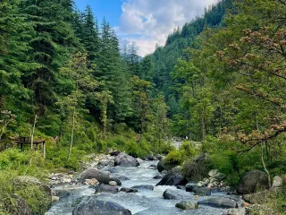 Day 2: Arrive Jibhi, Waterfall Walk