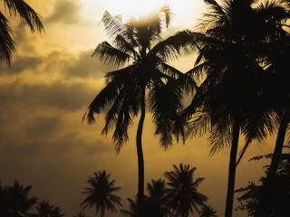 Day 7: Kovalam Sightseeing → Trivandrum