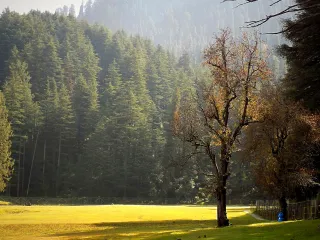 Day 4: Khajjiar and Kalatop