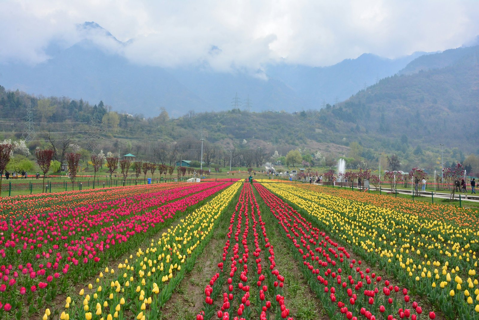 Srinagar Gardens and Heritage photo 2