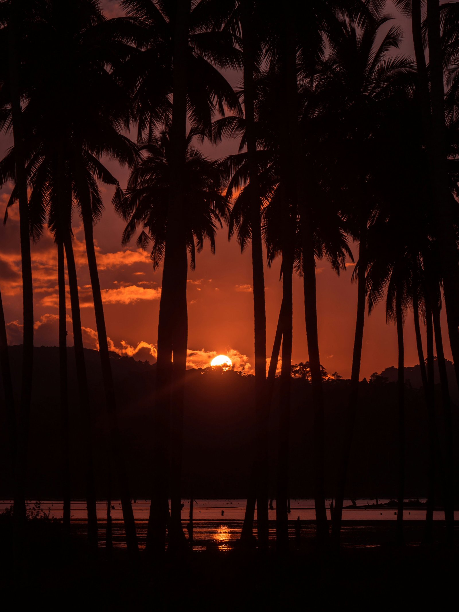 Port Blair Farewell photo 2
