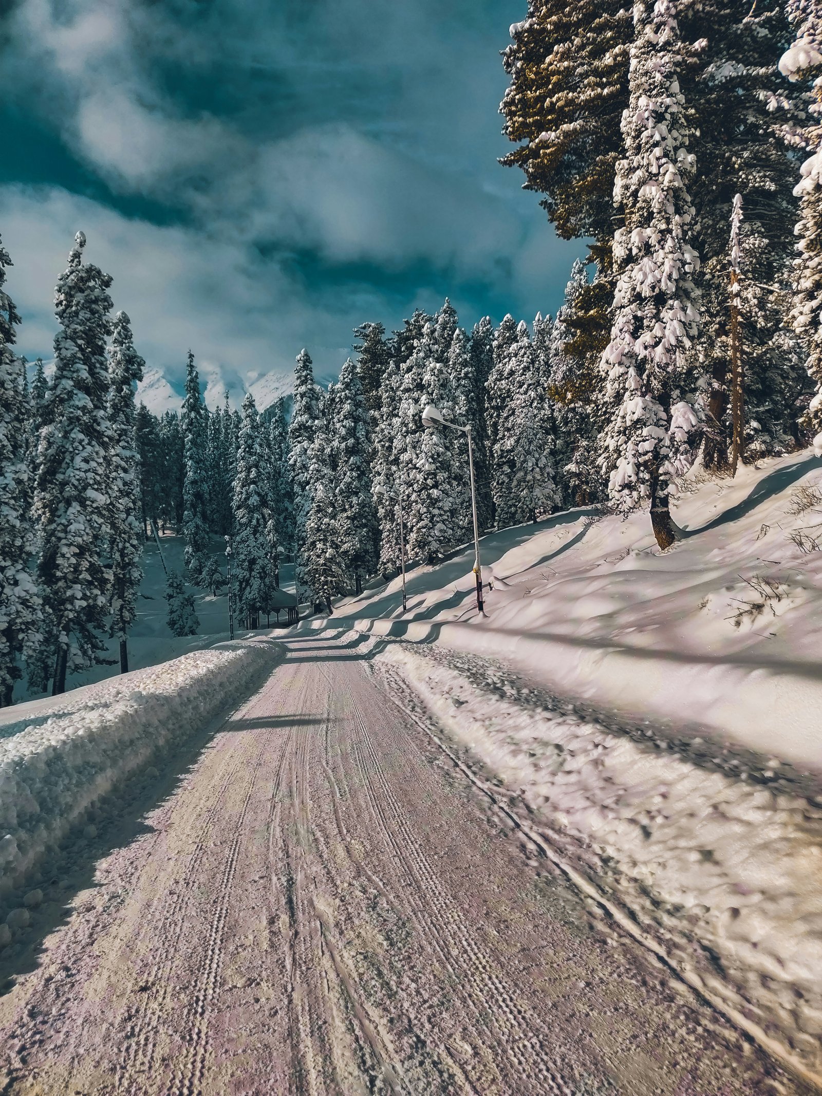 Srinagar to Gulmarg photo 1