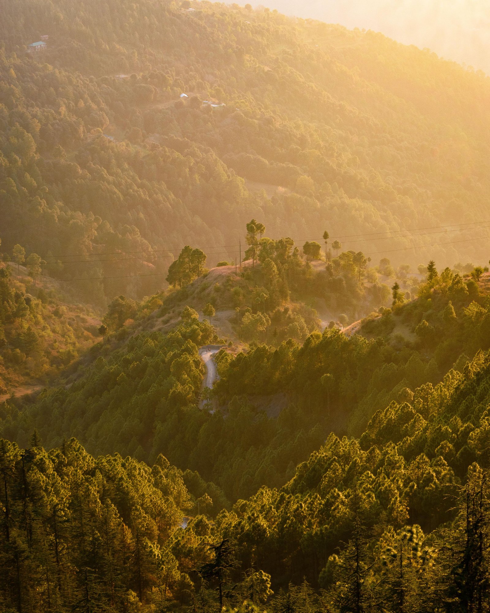 Chaukori to Munsiyari