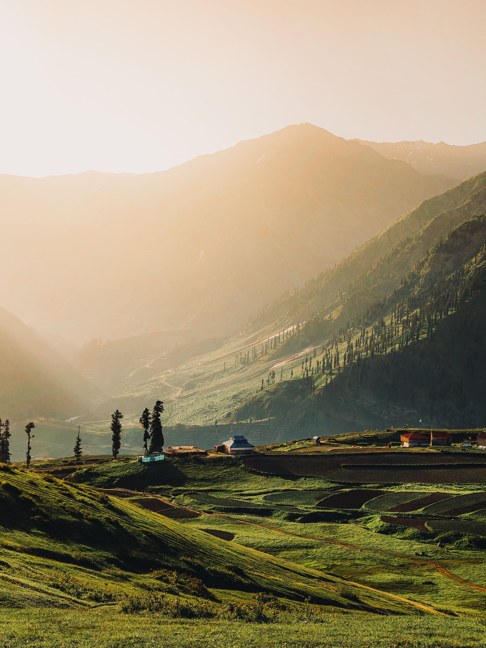 Gulmarg Leisure and Tangmarg photo 1