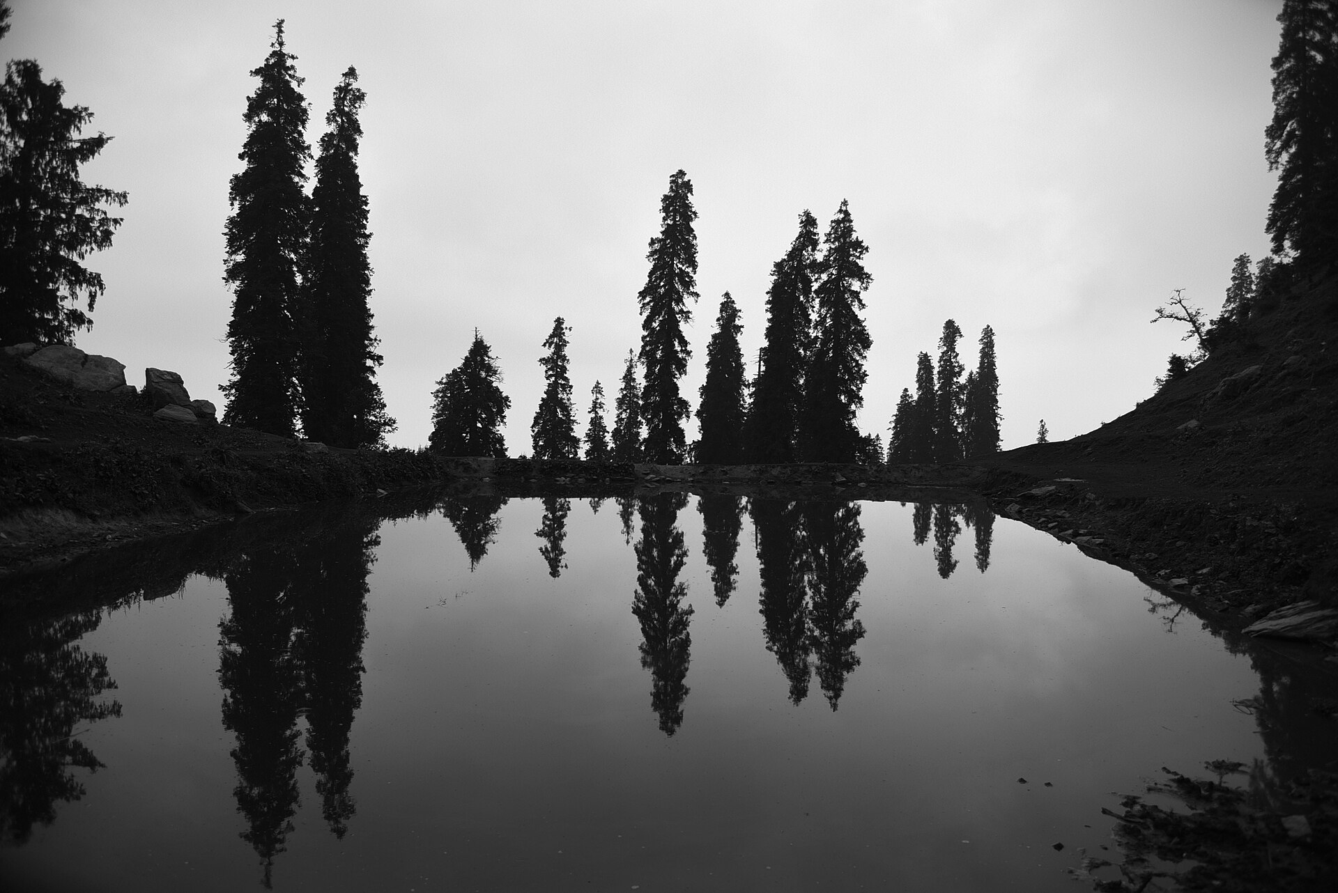 Day 4 — Shimla to Narkanda – Apple Country & Hatu Peak